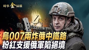 时事金扫描