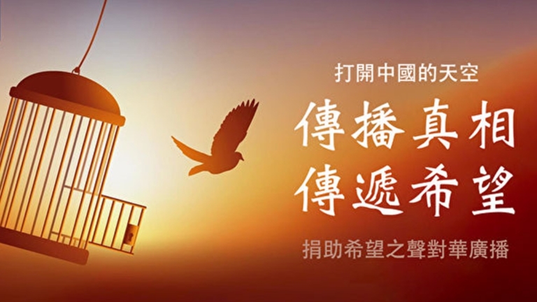 承載希望的海鷗：一個20年打造的奇跡（2）