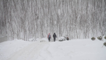 视频：山东暴雪厚达半米 女大学生爬行回寝室