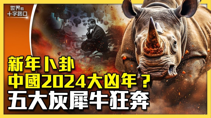【十字路口】2024大凶年？中国五大灰犀牛狂奔