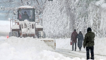 组图：中国超20省份冷如“钻冰箱” 山东积雪74厘米