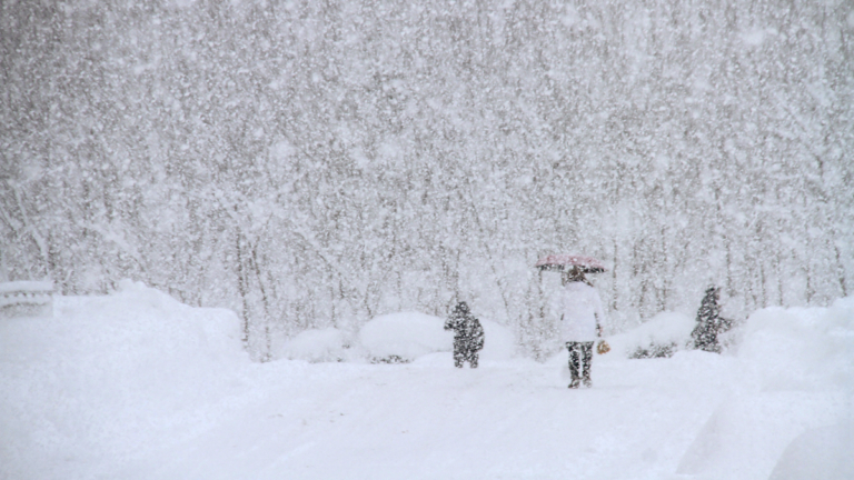 疫情洶湧加「雷打雪」中國現大凶之兆