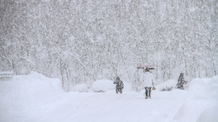 疫情汹涌加“雷打雪”中国现大凶之兆