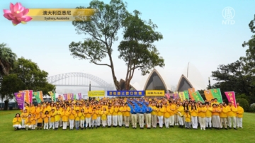 各地大法弟子恭祝师尊新年好（三）