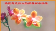 濰坊法輪功學員恭祝李洪志大師新年好(21條)