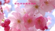 佳木斯法輪功學員恭祝李洪志大師新年好(19條)
