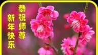 青島法輪功學員恭祝李洪志大師新年好(24條)
