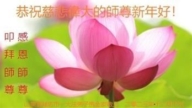 濰坊法輪功學員恭祝李洪志大師新年好(24條)