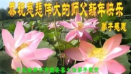 廊坊法輪功學員恭祝李洪志大師新年好(20條)