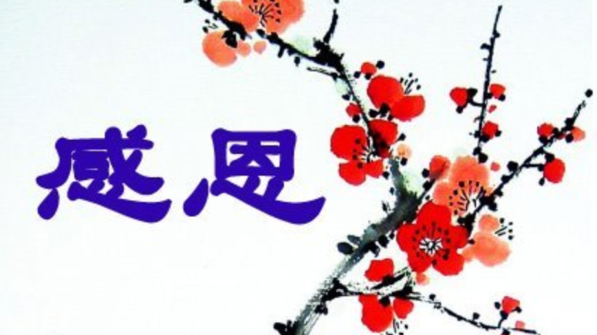 保定法轮功学员恭祝李洪志大师新年好(21条)