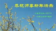 大法小弟子恭祝李洪志大師新年好(20條)