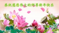 湖北法輪功學員恭祝李洪志大師新年好(23條)
