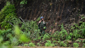 緬甸政府軍舉白旗 反叛聯盟宣布控制果敢