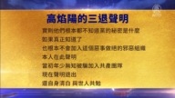 【禁聞】1月8日三退聲明精選