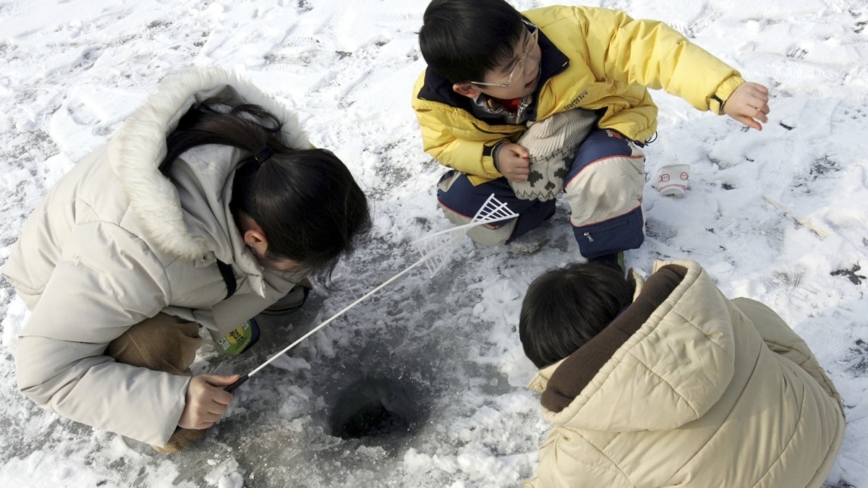 越冷越开心 2024华川山鳟鱼庆典