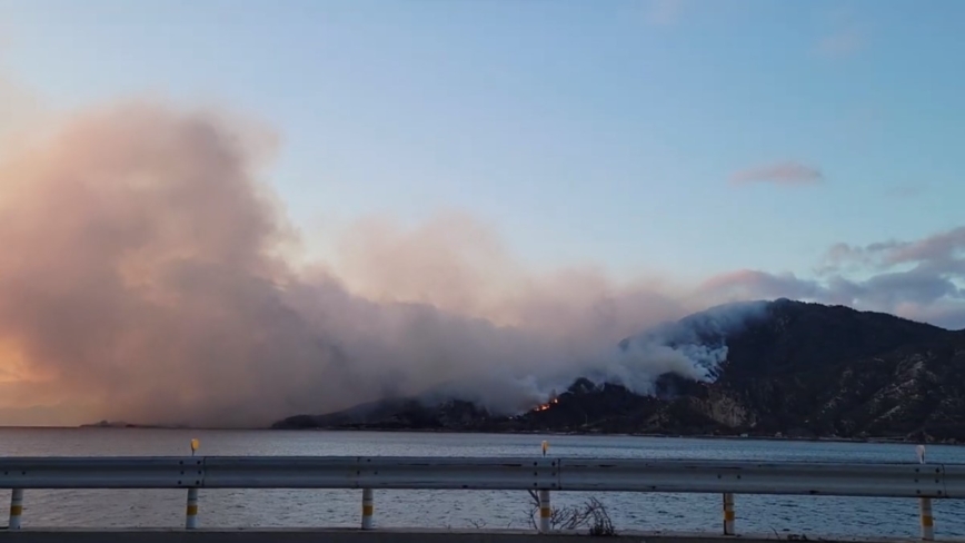 日本广岛林火延烧 鹿儿岛火山喷发