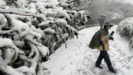 陽明山下雪！全台8國小放低溫假