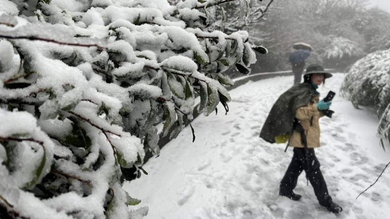 陽明山下雪！全台8國小放低溫假
