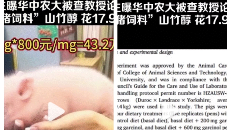 陸農大教授又被曝論文造假 豬飼料花近18億元