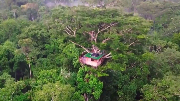 世界最偏遠！亞馬遜32米高「樹冠教室」落成
