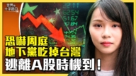 【十字路口】中国股市暴跌反弹 股民快逃生？