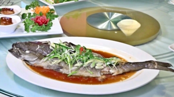 台灣料理上榜米其林 龍鬚菜樹籽鱈魚饕客首選