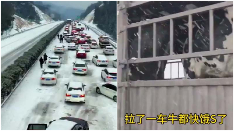 湖北堵車6天 男子吃光年貨 一車牛快餓死（視頻）