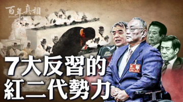 【百年真相】红二代策划联署反习？