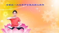 石家莊法輪功學員恭祝李洪志大師新年好(19條)