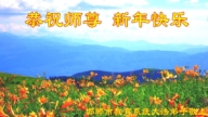 師恩浩蕩　中國30省法輪功學員給師父拜年