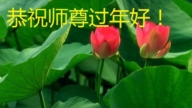 北京法輪功學員恭祝李洪志大師新年好(18條)