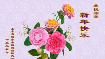 山東、陝西法輪功學員恭祝李洪志大師新年好(26條)