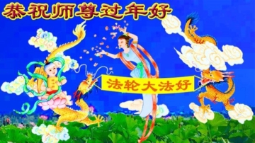 宁夏、青海、山东法轮功学员恭祝李洪志大师新年好(27条)