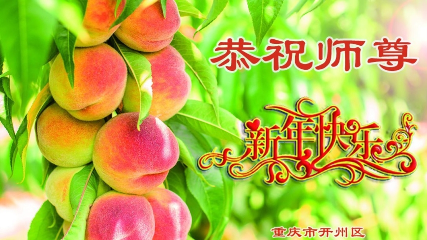 上海、重庆、河北法轮功学员恭祝李洪志大师新年好(27条)
