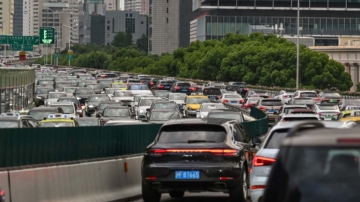 傳許廣高速大堵車 車上土鷄餓死扔一地（視頻）