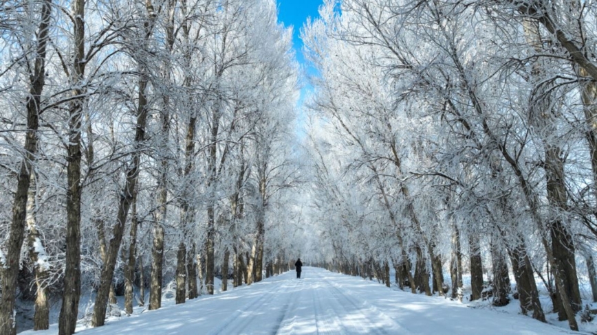大幅降溫後甘肅交通管制 逾4萬旅客滯留途中