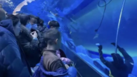 郑州海洋馆潜水员溺亡 员工冷漠 游客以为是假人