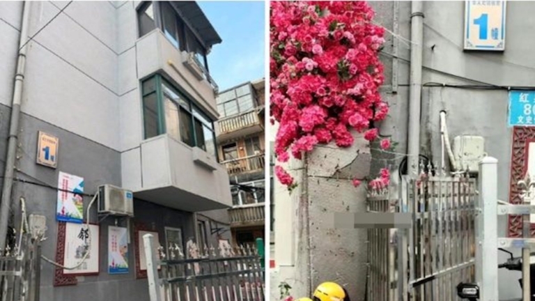 袁斌：李克強故居門牌號被遮與劉少奇被用假名火化