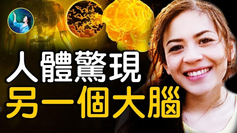 【未解之謎】人腹內藏著的另一個「大腦」