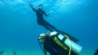 遠離陸地的喧囂 自由潛水助澳洲人釋放壓力