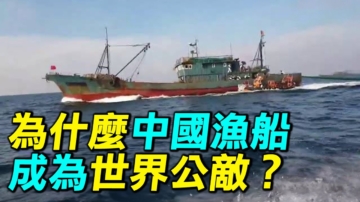 【探索时分】中国渔船非法捕鱼 成世界难题