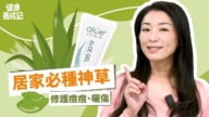 【健康養成記】我家必種神草 修護油痘燙曬傷