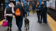 纽约法拉盛犯罪率下降 安全论坛促警民互动