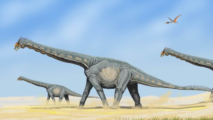 法男「具慧眼」 遛狗發現7000萬年前恐龍化石