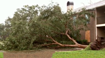 破壞性的聖安納風襲來 南加民眾應警惕斷木