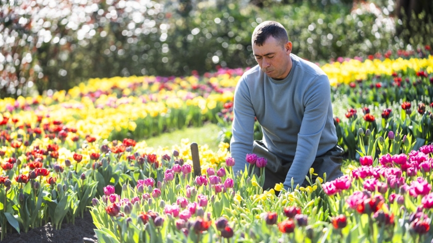 後疫情時代 花園經濟何去何從