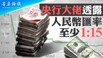 【菁英論壇】央行大佬：人民幣兌美元至少15比1
