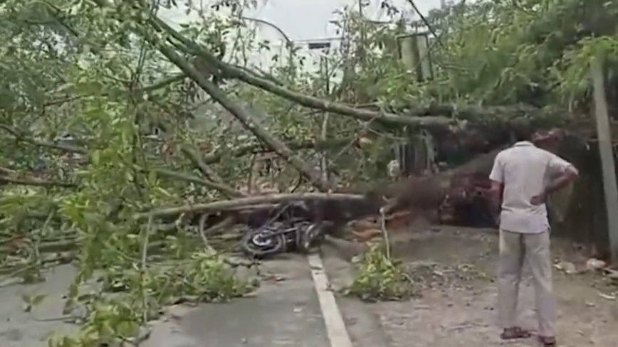 强烈飓风侵袭 印度东北部小镇至少5死逾百人伤