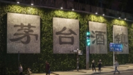 中国经济衰退 茅台价格连续暴跌 日降百元