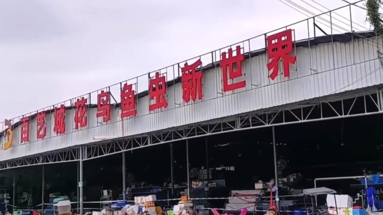 【短訊】廣東百藝城大火 業主：損失慘重